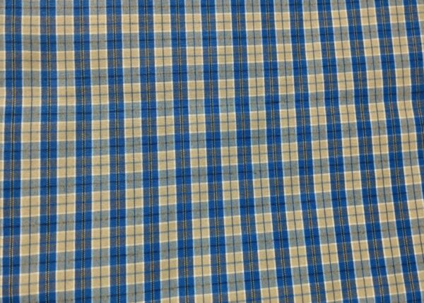 Checked Blue Fabric