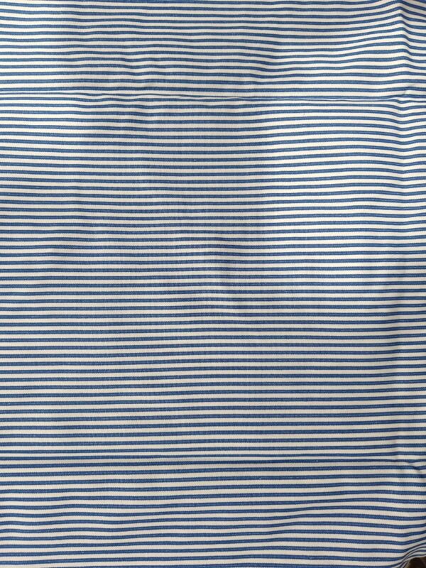 Blue Zibra fabric